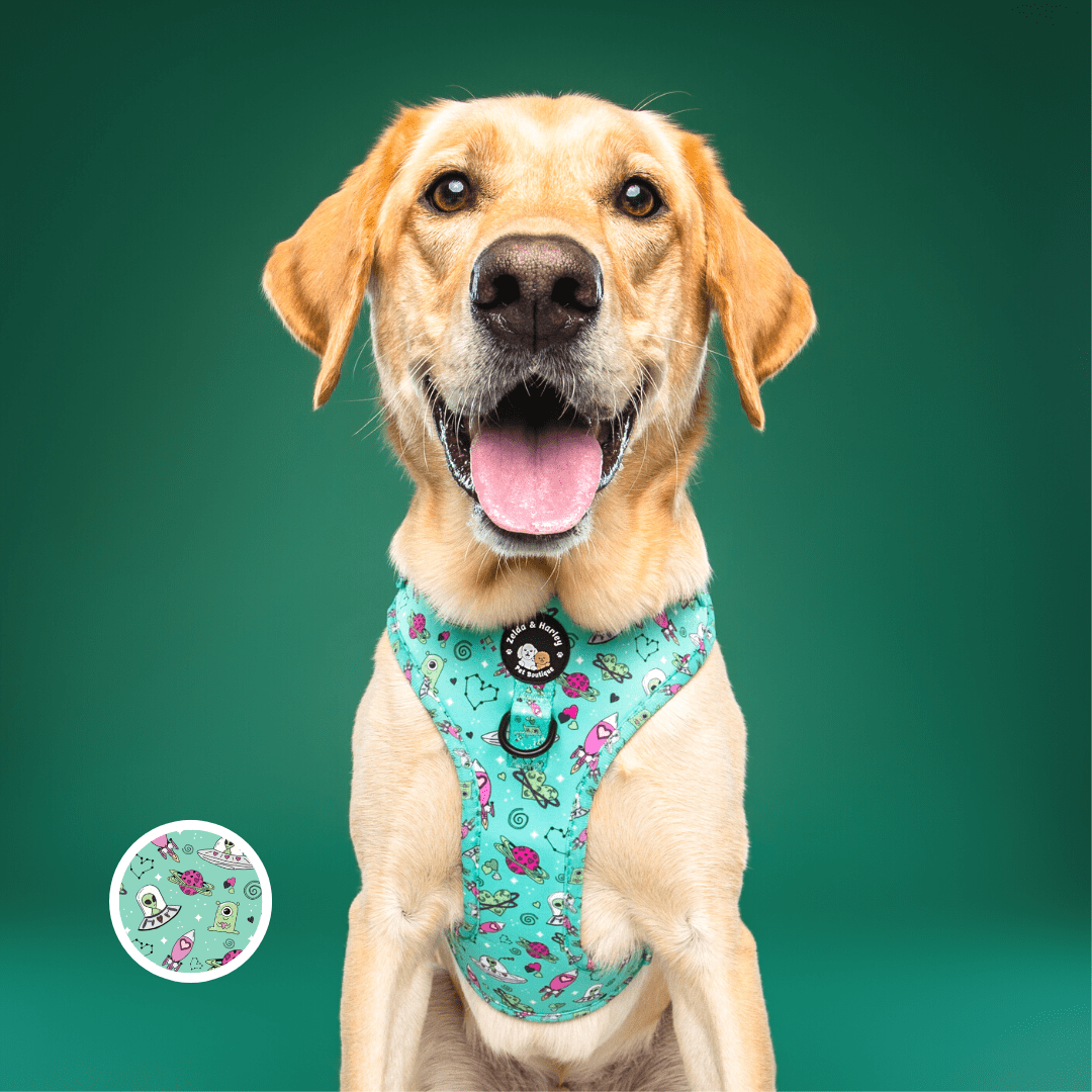 Dog sales harness store