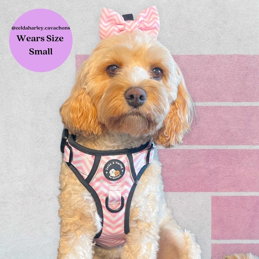 Zelda & Harley Harness Zig Zag Wag Pastel Pink - Adventure No Pull Harness