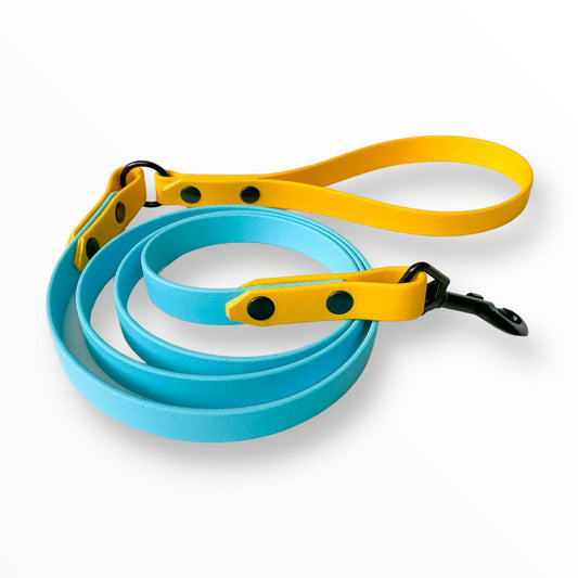 Zelda & Harley Lead Waterproof Leash - Blue and Yellow