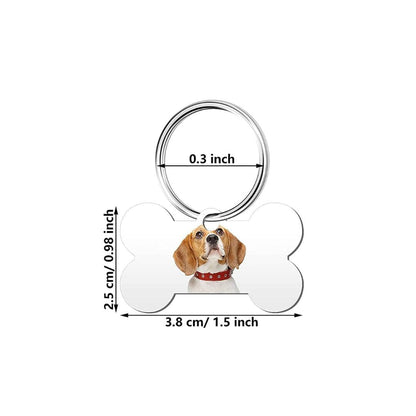 Zelda & Harley Pet ID Tags Polka Dots Pet Tag