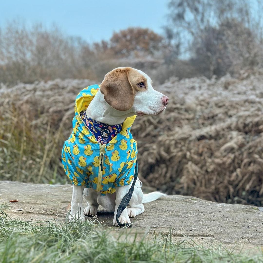 Zelda & Harley Raincoat Rubber Duckie Reversible Raincoat