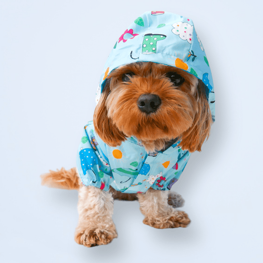 Zelda & Harley Raincoat Showers Reversible Raincoat