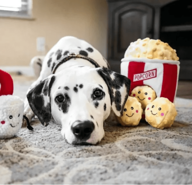 Zippy Paws Animals & Pet Supplies Zippy Burrow - Popcorn Bucket
